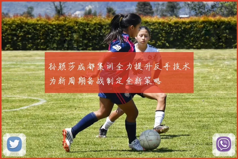 孙颖莎成都集训全力提升反手技术为新周期备战制定全新策略